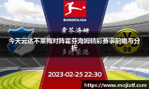 今天云达不莱梅对阵霍芬海姆精彩赛事前瞻与分析